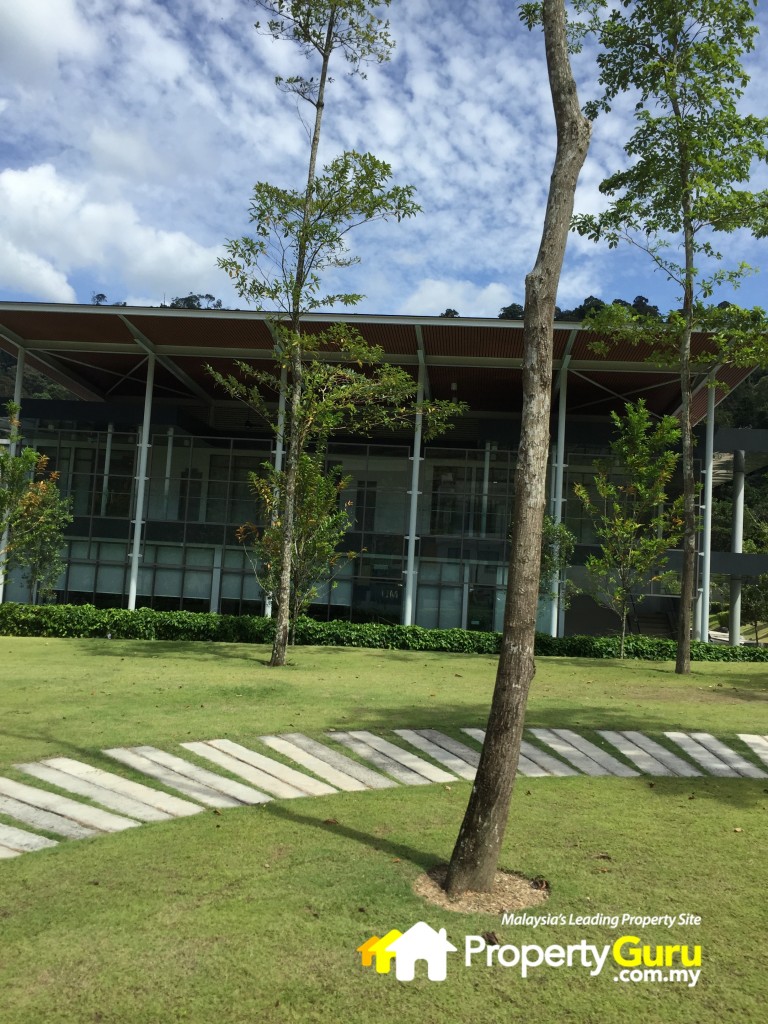 debunga clubhouse 2IMG_4578