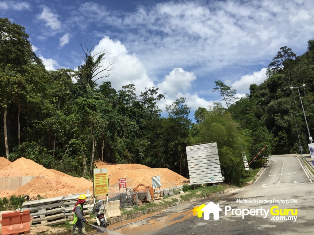 debunga route 8IMG_4561