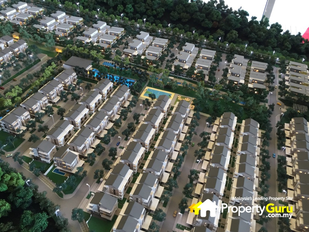 debunga site 4IMG_4579