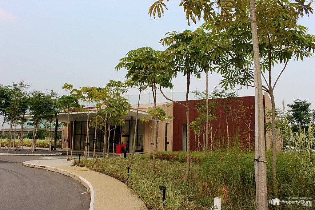 the terrace show flat