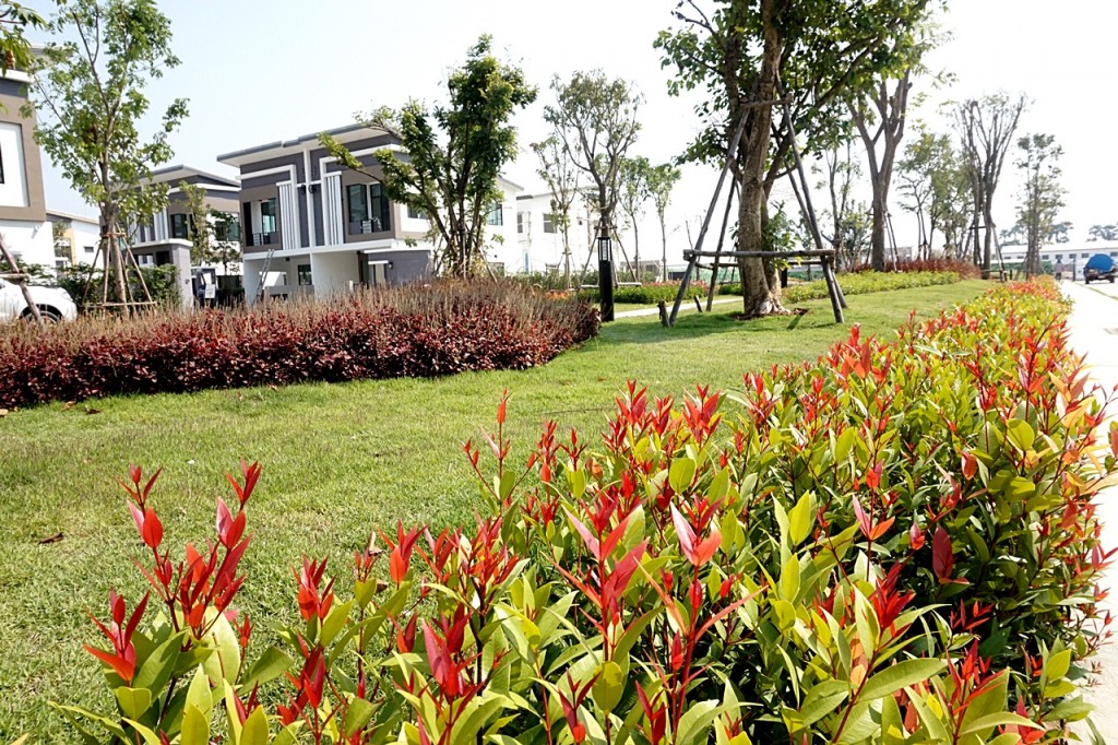 4 TheTrust-Ratchapruk-RattanatibetDSC05425-166