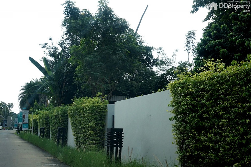 D'HabitatDSC05487-004