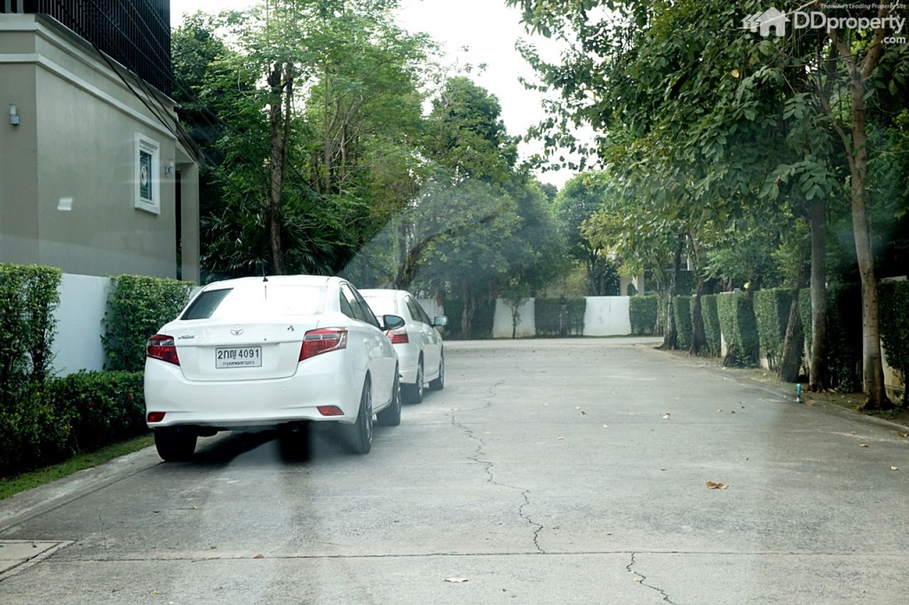 D'HabitatDSC05491-008