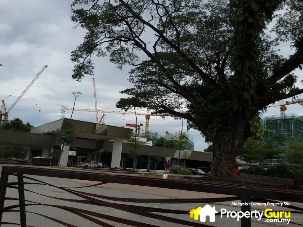 DRapport site 11IMG_5048