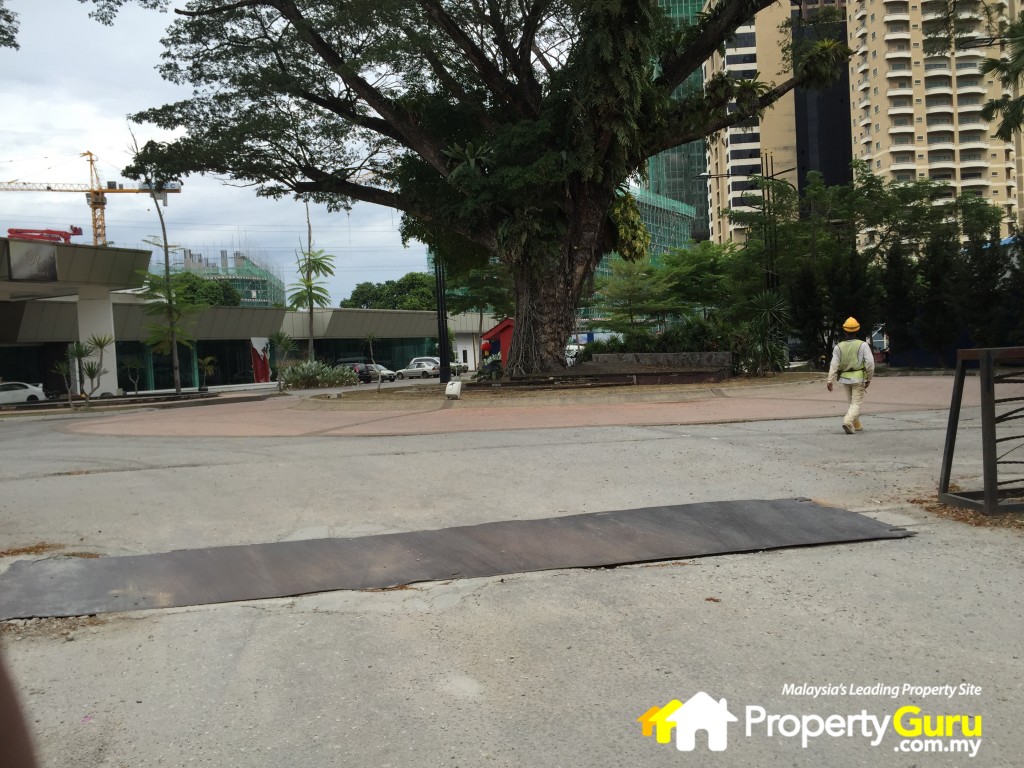 DRapport site 12IMG_5050