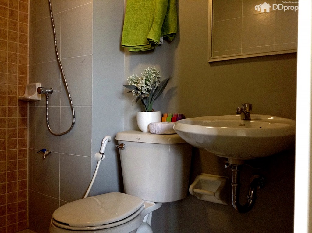 Lumpini klong 1p53-050