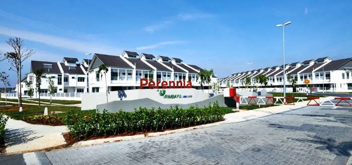 Actual photo of finished project Perennia