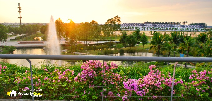 Perennia from distance1