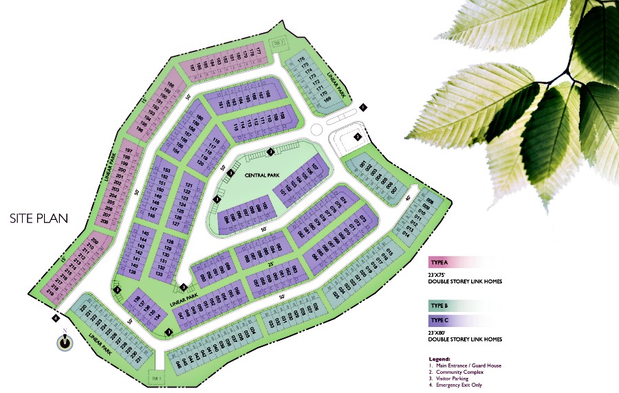 Site Plan