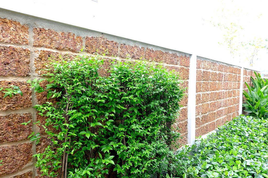 Supalai Prima VillaDSCF1781-156