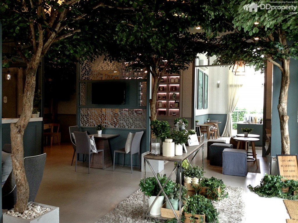 The colors Permium Kanjanapisek-Ratchaphreukp19-019