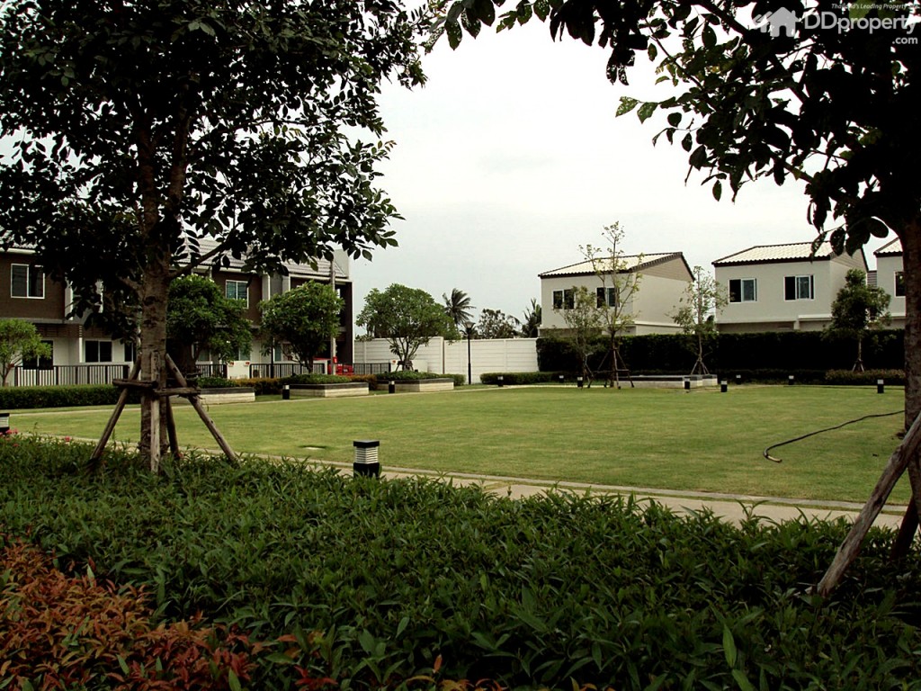 The colors Permium Kanjanapisek-Ratchaphreukp24-024