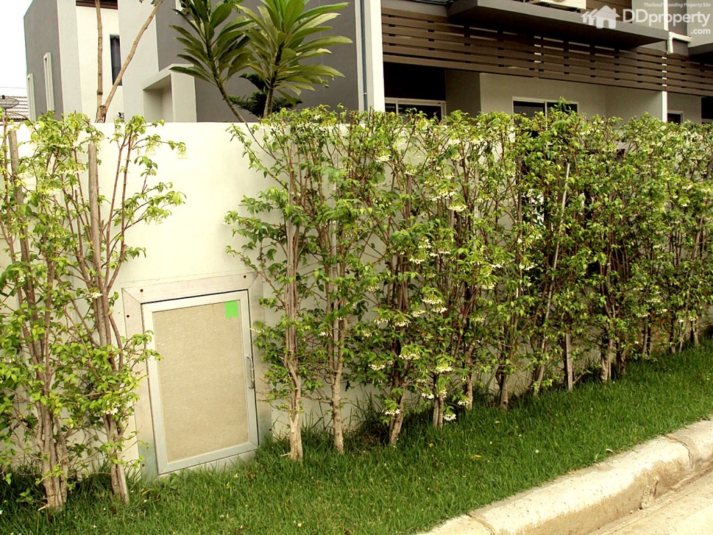 The colors Permium Kanjanapisek-Ratchaphreukp26-026