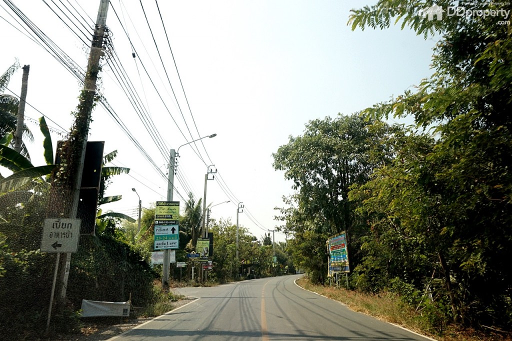 TheTrust-Ratchapruk-RattanatibetDSC05266-027