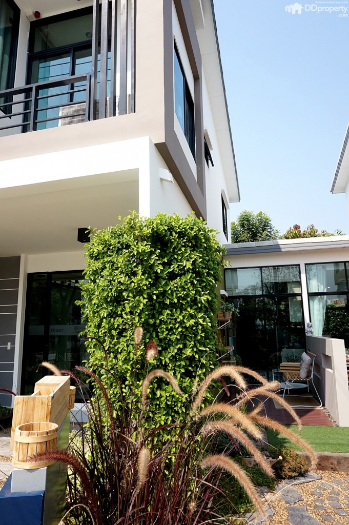 TheTrust-Ratchapruk-RattanatibetDSC05296-039