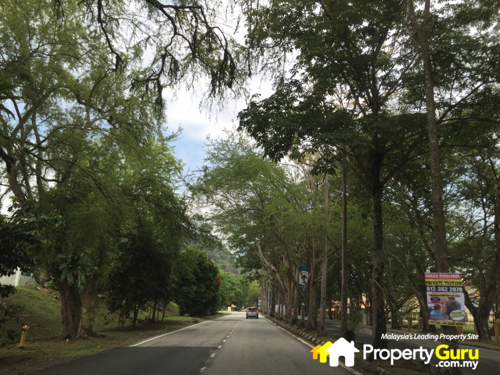 embun site 7IMG_5128