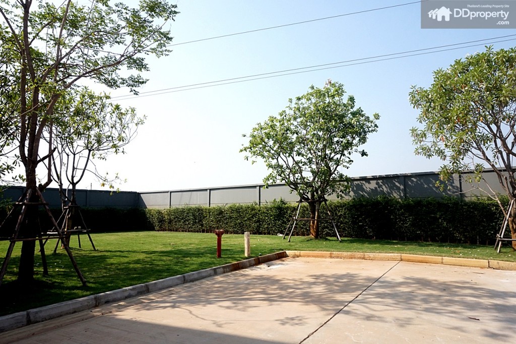 20 Town AvenueDSC06283-155