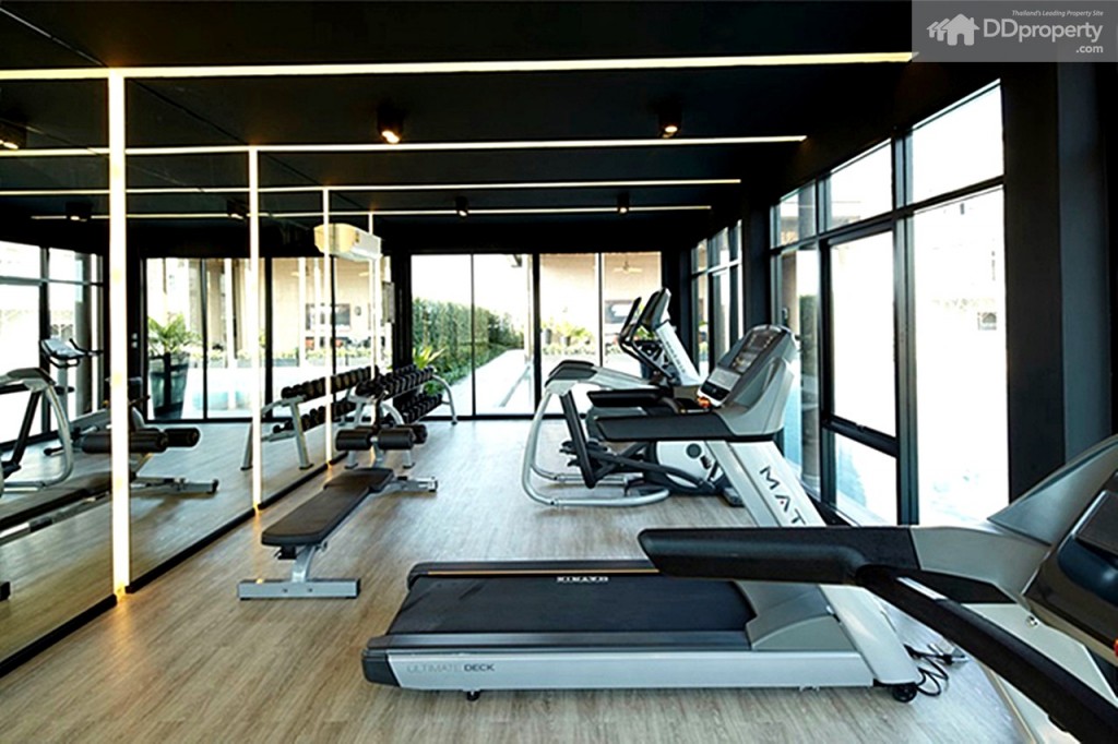 26Town AvenueMotown-Brio-912-193