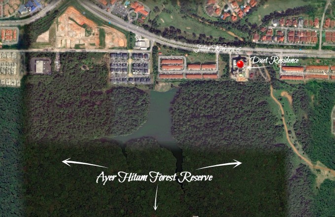There are perhaps some Feng Shui elements here if anyone cares to believe ─ mountain at the back (of Duet) and the River of Life (the artery road) in front while overlooking the placid lawns of the golf course and resort