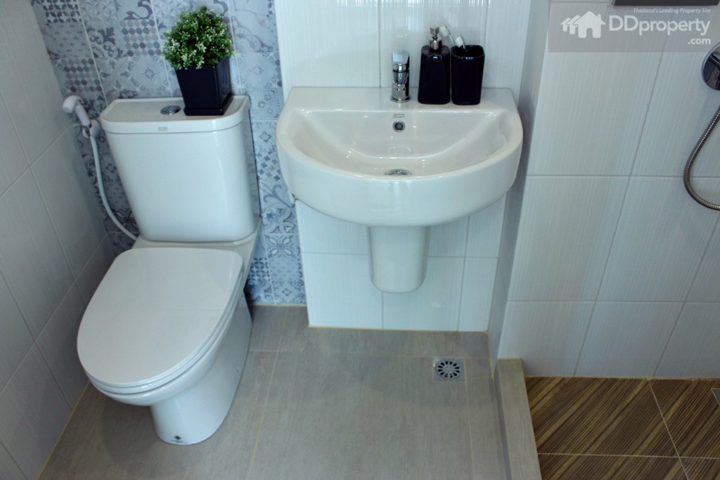 สุขภัณฑ์เน้นโทนสีขาวแบบมาตรฐาน ของ American Standard