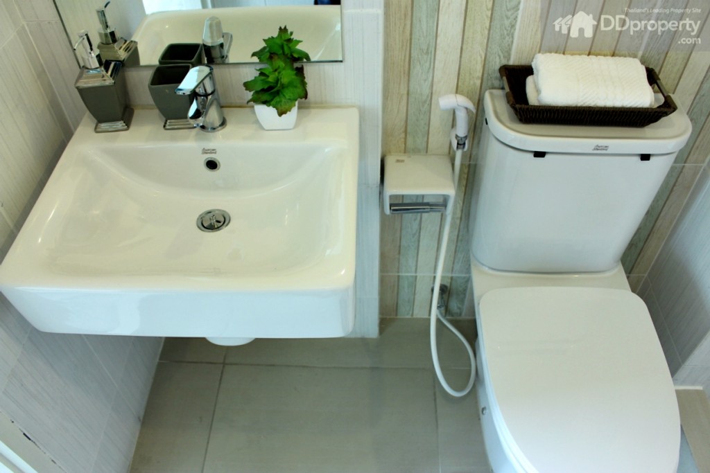 สุขภันฑ์เป็นของ American standard