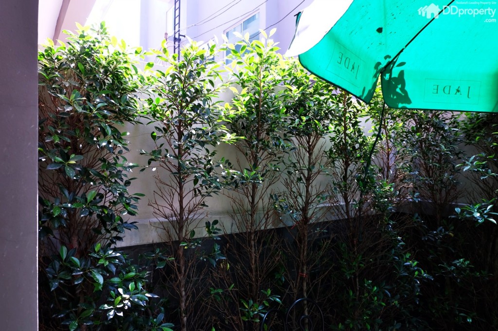 โซนด้านหลังบ้านความกว้างประมาณ 5 เมตร พร้อมกำแพงกั้นระหว่างยูนิตสูง 3 เมตร