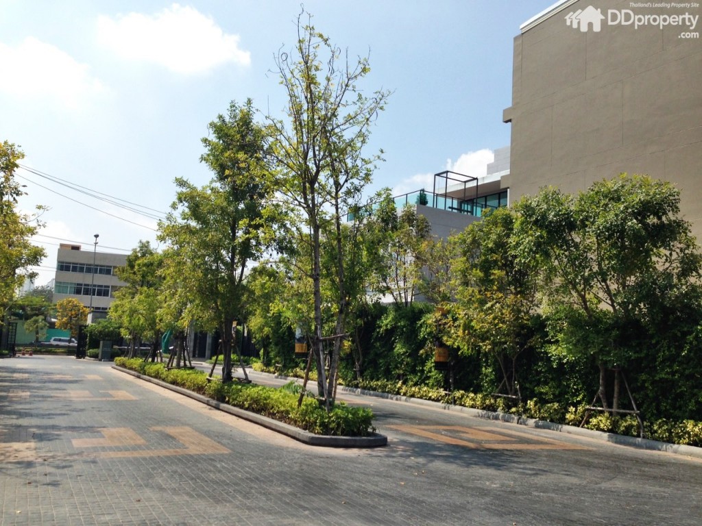 ภาพจริงถนนทางเข้าออกโครงการ (ความกว้าง 12 เมตร)