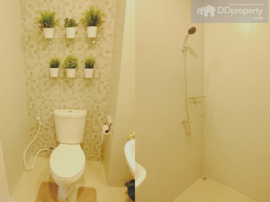 สุขภัณฑ์และอุปกรณ์ shower แถมแบรนด์ American Standard เช่นเดียวกัน (ตรงส่วนอาบน้ำจะไม่มี partition ให้)