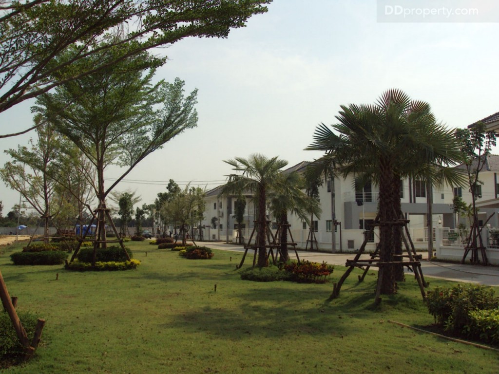 Lanceo crib pinklao- rama5_Beaup24-024