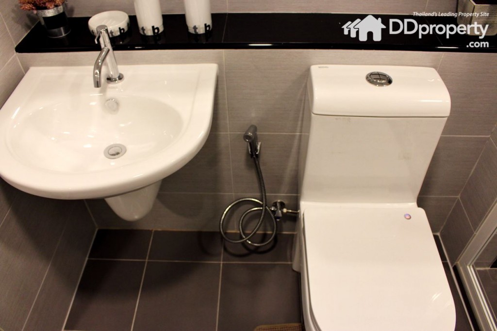 สุขภัณฑ์เน้นสีขาวแบบมาตรฐาน