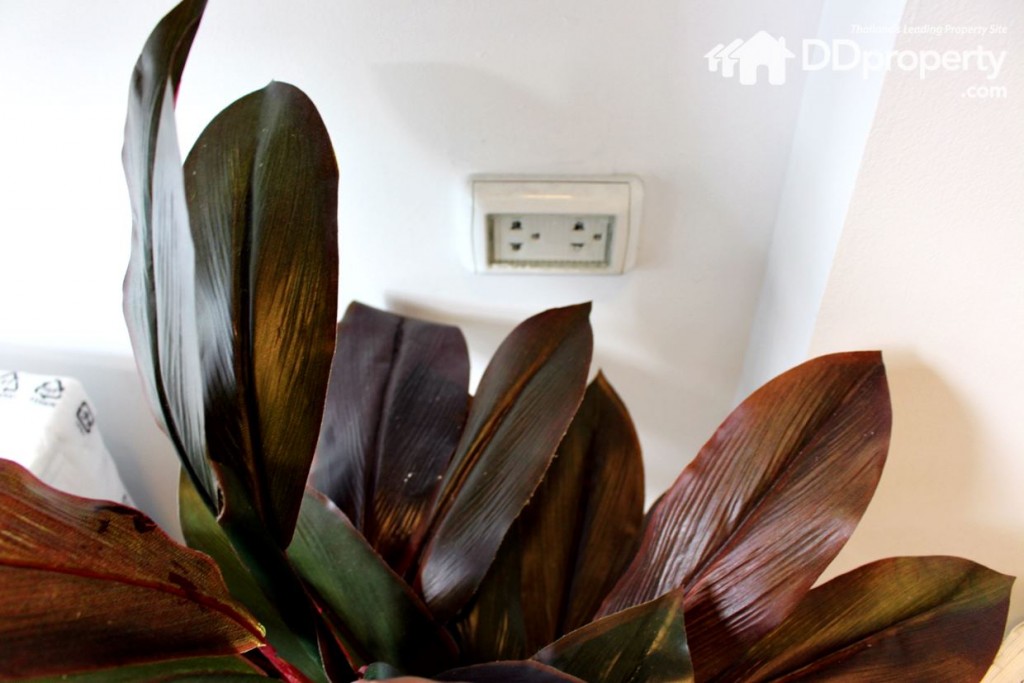 พร้อมปลั๊กไป