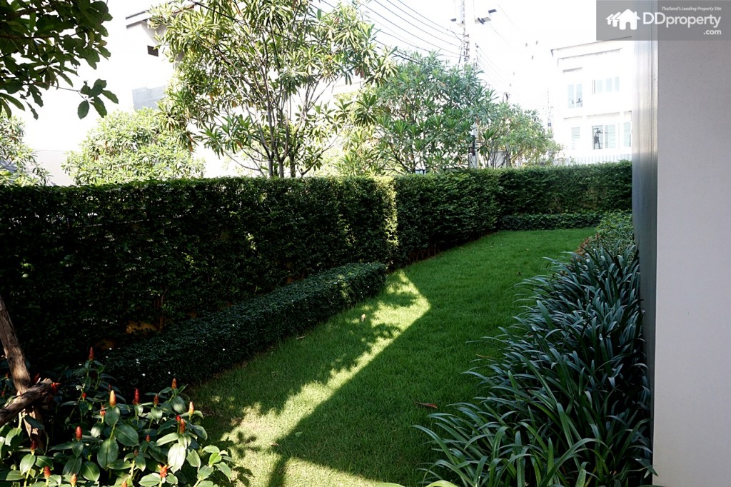 Town AvenueDSC06189-063