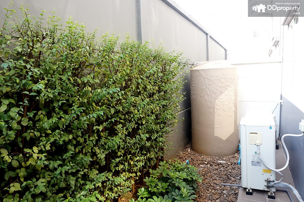 Town AvenueDSC06239-112