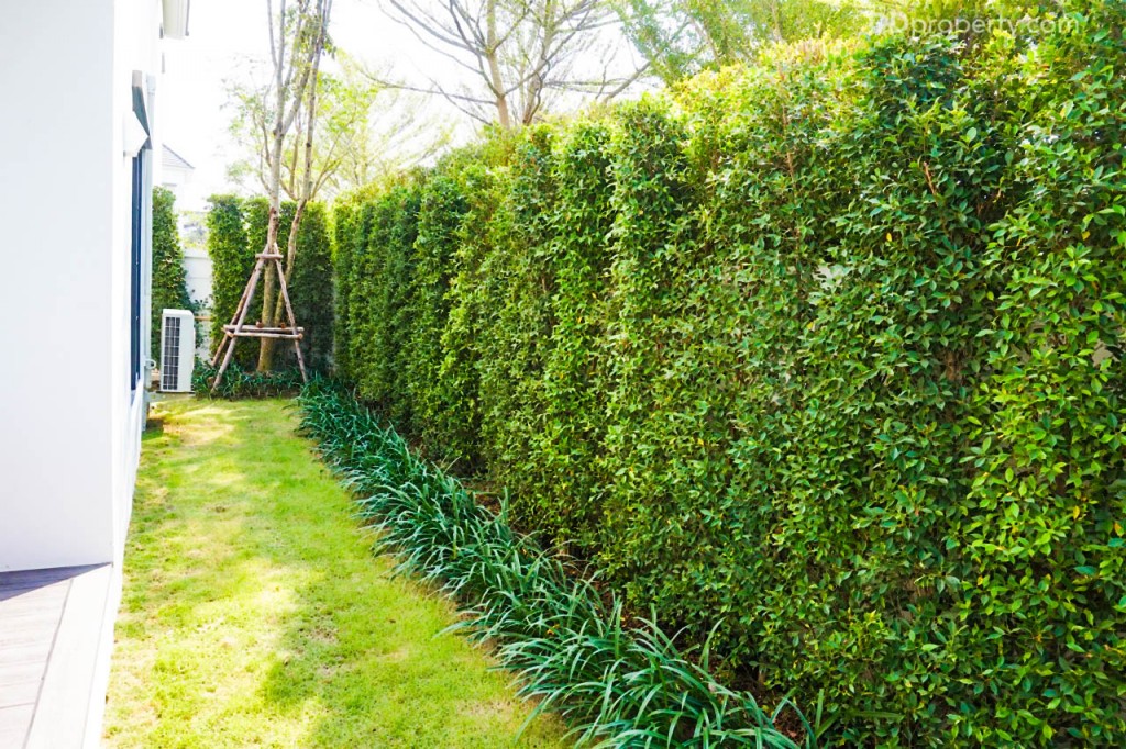 grand-bangkok-boulevard-sukhumvitDSC06745-102