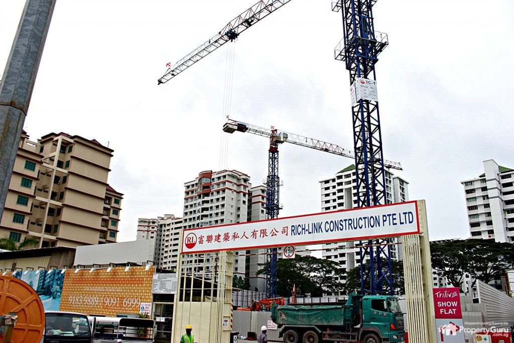 trilive construction