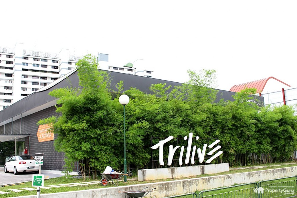 trilive show flat