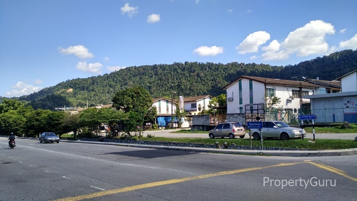 005Q3- Beautiful Greeneries