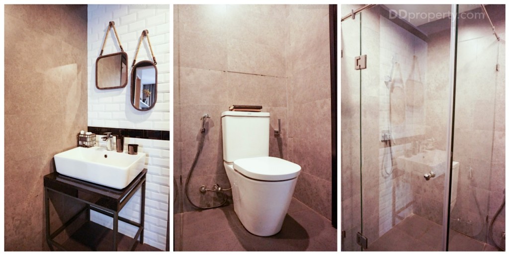 Brix Charan 64DSC07064-060 (2)