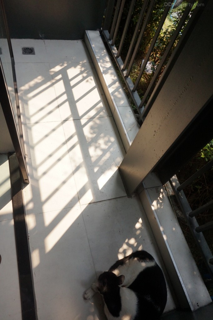 Brix Charan 64DSC07103-095