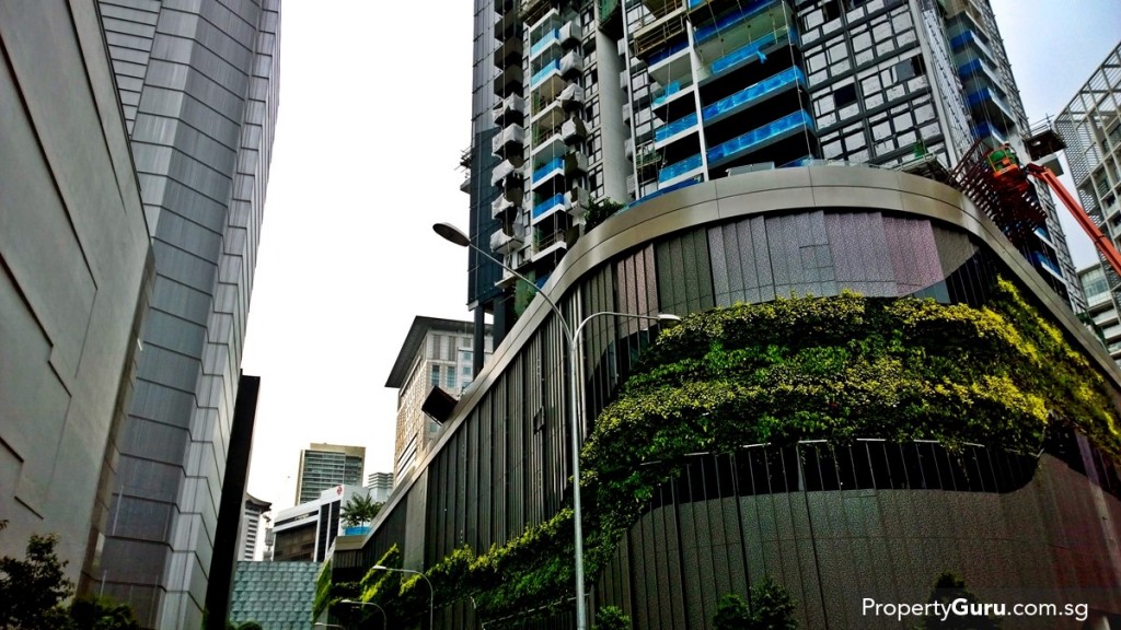 Cairnhill Nine towering above its neighbours