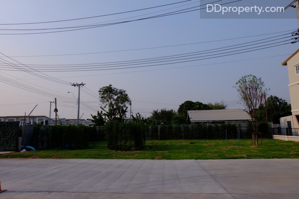 พื้นที่สีเขียวส่วนกลางในอนาคต