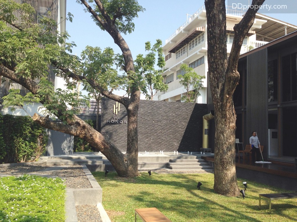 ต้นไม้ต้นใหญ่ที่เป็นสัญลักษณ์ของโครงการ