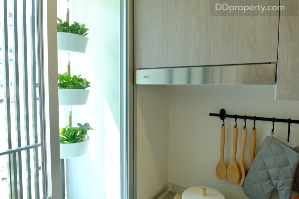 Hood ดูดควันแบรนด์ Mex