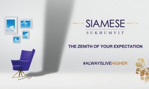  - พรีวิวโครงการใหม่: ไซมิส สุขุมวิท (Siamese Sukhumvit)