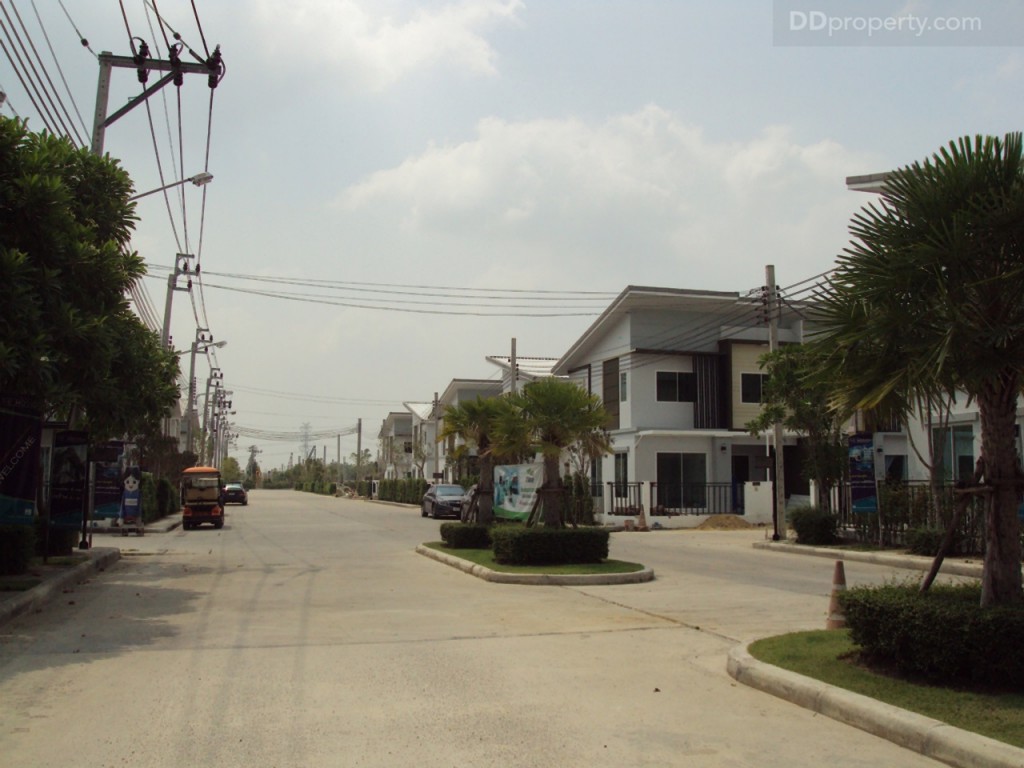 The Modish Bang Bua Thongp23-015