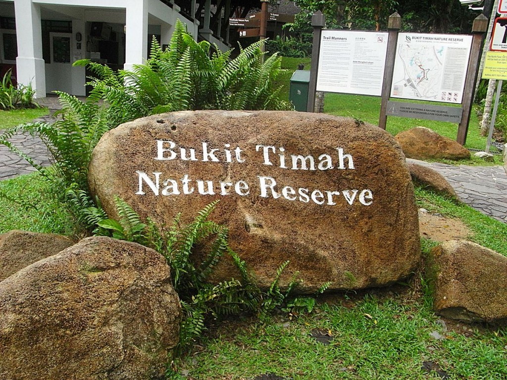 leisure, recreation, nature, bukit batok, bukit panjang, condo