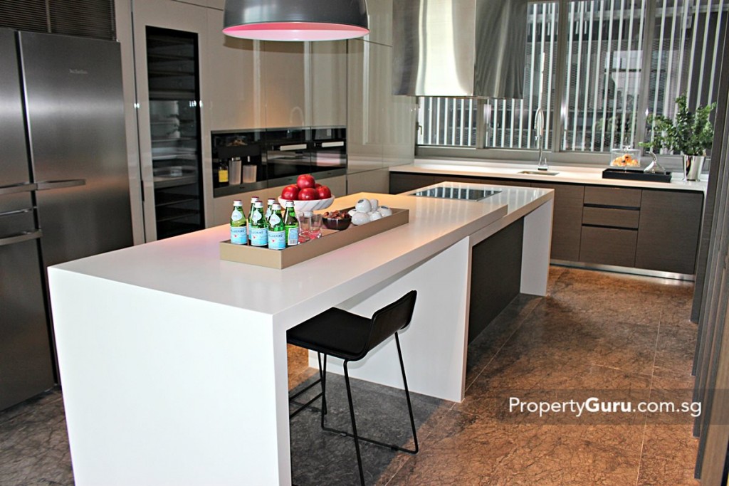 leedon residence kitchen1