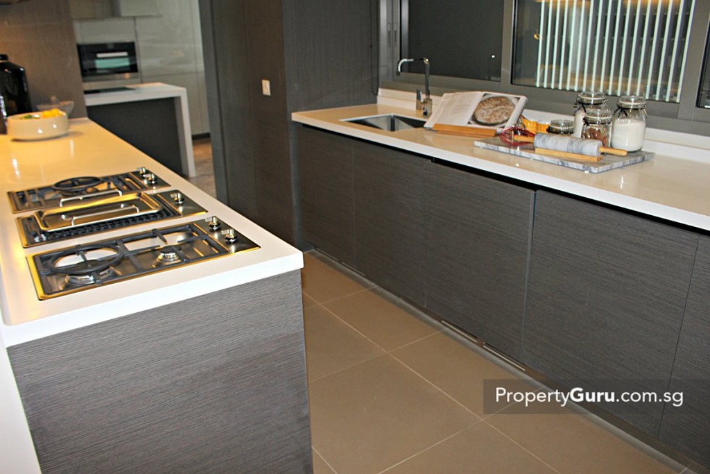 leedon residence kitchen3