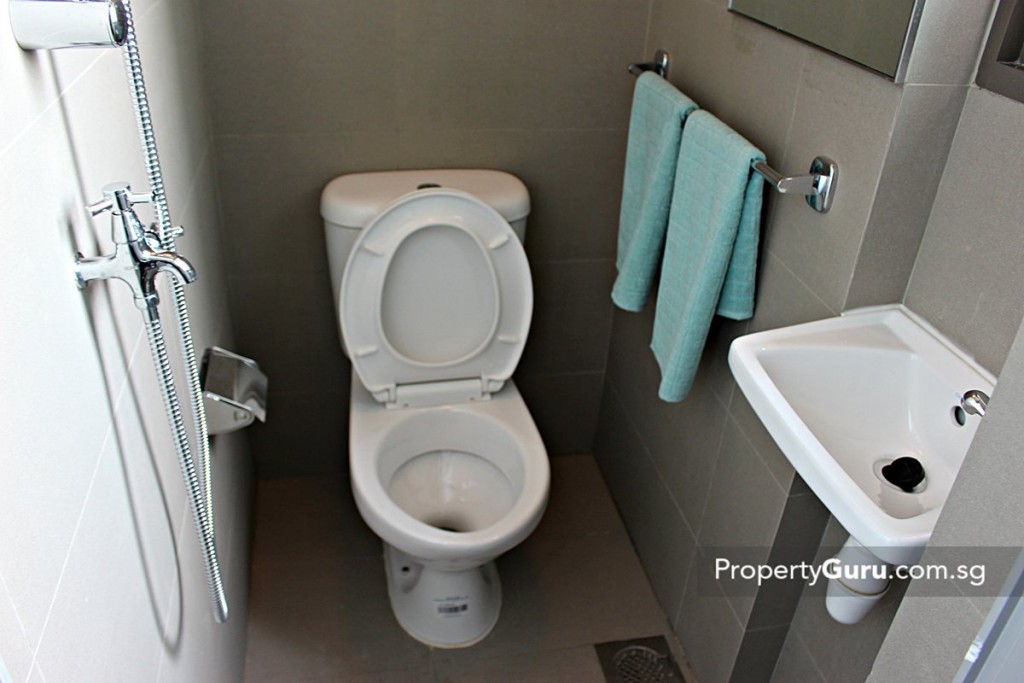 skyline residences water closet