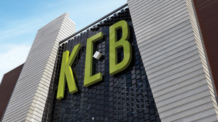 002Netizen- Developer Details